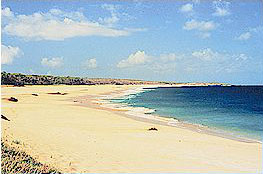 Molokai Island in Hawaii, take the Maui Princess for the adventure of a lifetime.